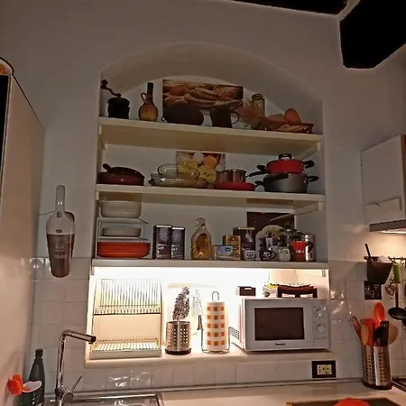 Poppy's House *