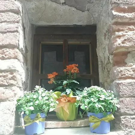 Poppy's House