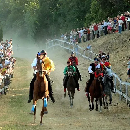 Poppy's House Casole dʼElsa